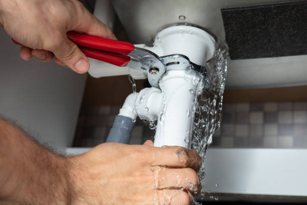 Water damage restoration mold remediation in LA