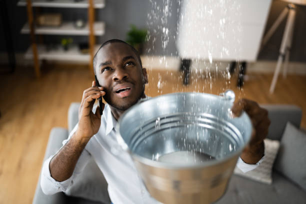 Best Basement water damage restoration  in Estelle, LA
