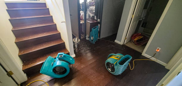 Best Fire Damage Restoration  in Estelle, LA