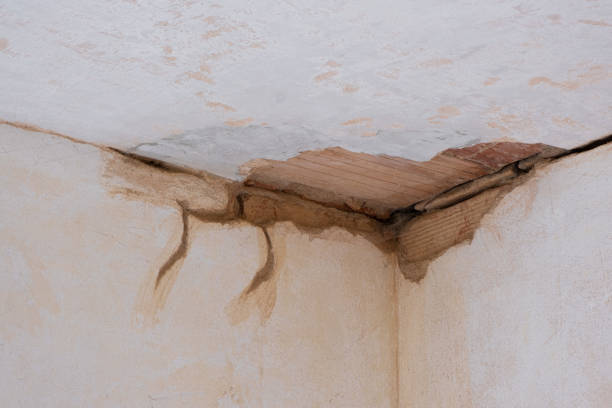 Best Commercial water damage restoration  in Estelle, LA