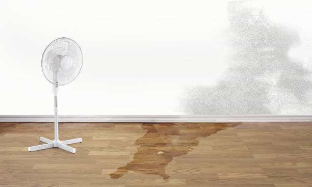 Best 24-hour water damage restoration  in Estelle, LA