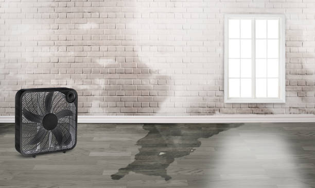 Best Residential water damage restoration  in Estelle, LA