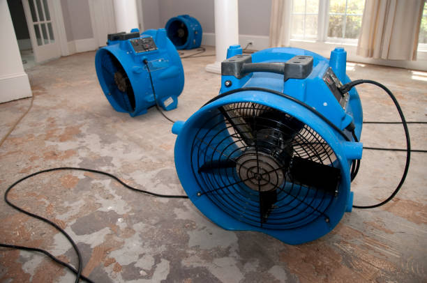 Best Flood restoration services  in Estelle, LA