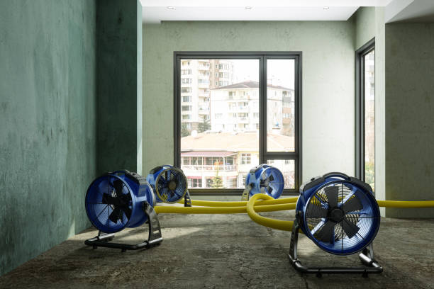 Best 24/7 water damage repair  in Estelle, LA
