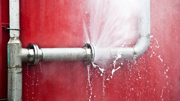 Best Water damage restoration mold remediation  in Estelle, LA